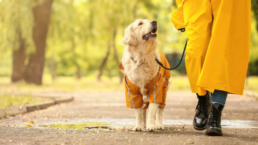 12 Amazing Benefits Of Emotional Support Animals For A Happier Life 2 Benefits of Emotional Support Animals