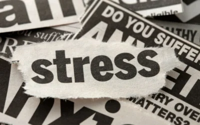 Toxic Stress – 5 Signs &Amp; Ways To Fight It Toxic Stress