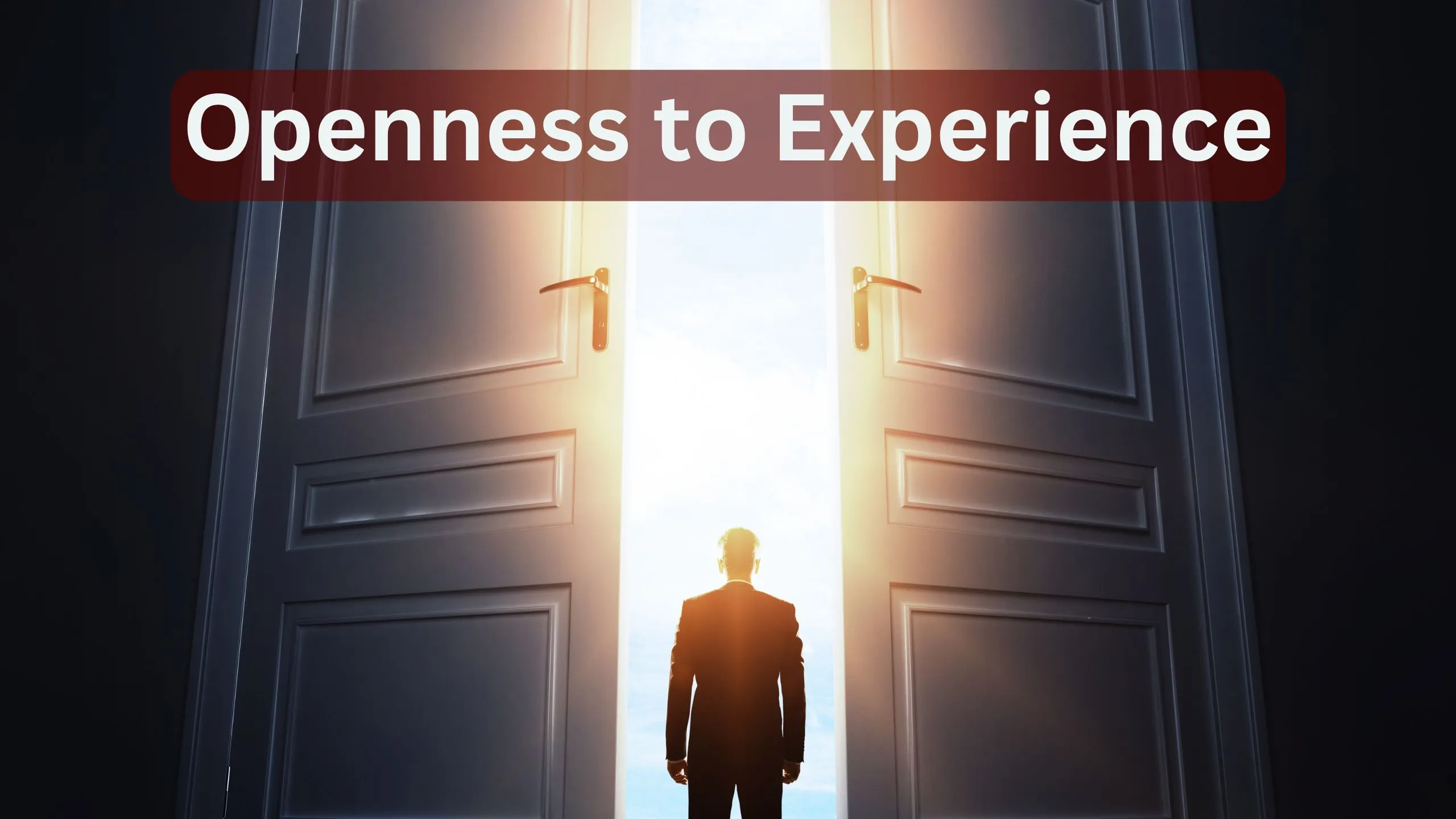 8 Critical Mistakes In Understanding Openness To Experience 1 Understanding Openness to Experience