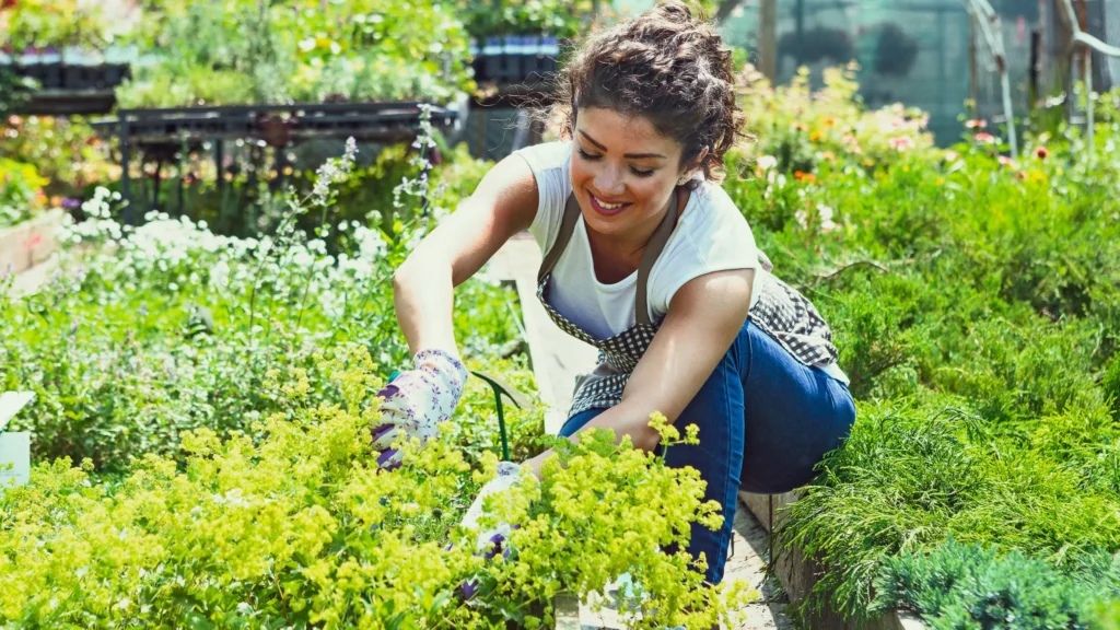 Why Nature Is Essential For Mental Peace: 10 Science-Backed Benefits 2 Why Nature is essential for mental peace
